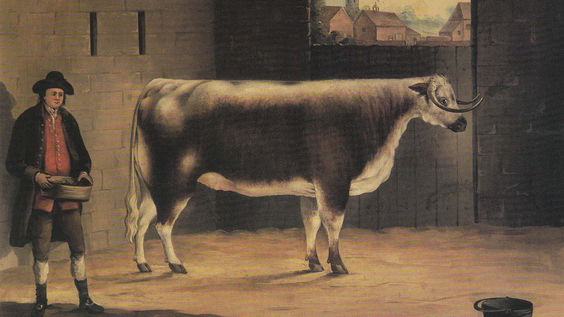 longhornbeef_161103w03_runderland-longhorns-engeland-leichesterhire-schilderij
